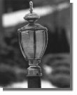 Lucy's Lamppost